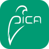 ��ȵ��app