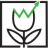 ͳ�����ݷ���Tulip Cell