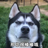 ��ʿ������ͼƬ
