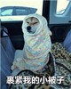 �����ҵ�С����doge��ͼƬ
