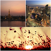PhotoPhase��̬��ֽ
