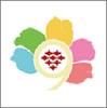 9���̳�app