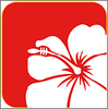 ��֮��app