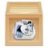 FormatFactory��ʽ�������԰�V5.12.4.0�ٷ���װ��