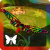 Butterfly Game(����ģ���������)