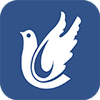 ��Ʊ���ٷ�app