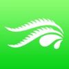 ��������app