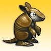 Armadillo Gold Rush(�Խ��ߣ��Խ�������)