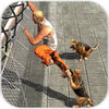 Prisoner Escape Police Dog(��������:��Ȯ���°�)