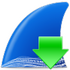 Wireshark(����ץ������)v4.4.0 �ٷ����°�