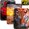 4K��ֽapp