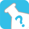 ʵ������app