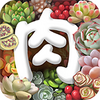 ����ֲ��app