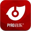 pyro���� ���԰�