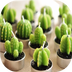���ֶ�app