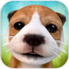 DogSimulator(С��ģ�������İ�)