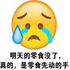 ����ʳ�ȶ�����ȫϵ�б����