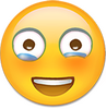 emoji�����ȫ