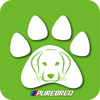 ����Ȯapp
