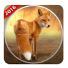 Hunter 3D(3d�������޽�����°�)