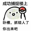 �ɹ���׽¥�ϱ����