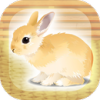 Rabbit(ϵİ)