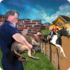 Animal Transport(���������������°�)