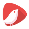ͷ�ư�׿��