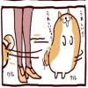 �ޤ뤷��Բ��Ȯ�����