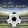 ��Ȼ����:Natural Soccer