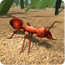 Fire Ant(ģʽ)v1.0 ׿