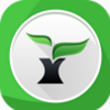 雨林木风浏览器app
