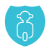 ƽ������app