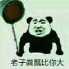 ����һ��ư��������ͼ