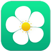 �����ɶ�ƽ̨app