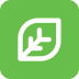 С�ȿ���app