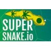 snake.ioߴս