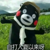 ��¶��մ��������