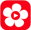 ������app
