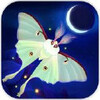 Starlight(����֮��ҹ���İ�)