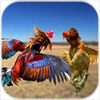 Farm Deadly Rooster Fighting(����רҵ����ʽ��)