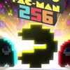 �Զ���256��������