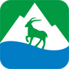 �����Ļ�����app
