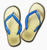 ���Ʋ���app