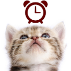 èָʱ(Cat Clocks)app