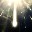 DNF���̸���