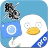 ���궯�����app(��δ����)