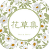 ���ݼ�app