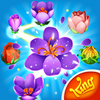 Blossom Blast Saga(������������2018���°�)