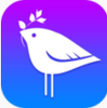 ��������app